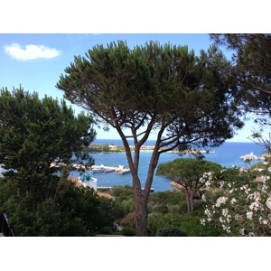 Picture Italy Sardinia Porto Cervo 2015-06 47 - Trail Porto Cervo