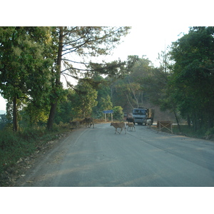 Picture Thailand Chiang Mai to Pai road 2007-02 136 - Trip Chiang Mai to Pai road