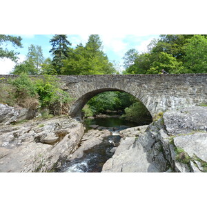 Picture United Kingdom The Trossachs 2011-07 124 - Pictures The Trossachs