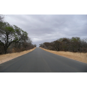 Picture South Africa Kruger National Park Sable River 2008-09 82 - Trip Sable River