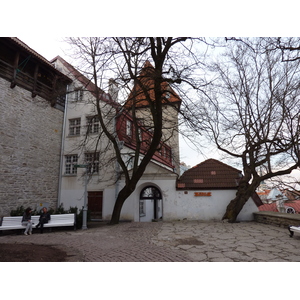 Picture Estonia Tallinn Old Tallinn 2009-04 28 - Photographers Old Tallinn