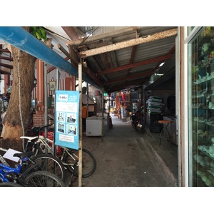 Picture Thailand Koh Samet 2016-01 65 - Tourist Places Koh Samet