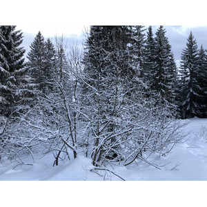 Picture France La Clusaz 2017-12 42 - Store La Clusaz