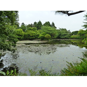 Picture Japan Kyoto Ryoanji Temple 2010-06 2 - Photographer Ryoanji Temple