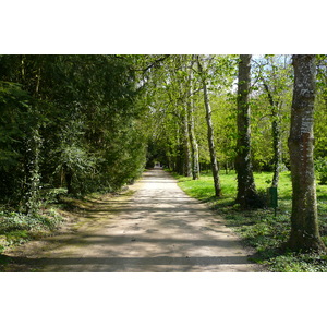 Picture France Chenonceau Castle Gardens of Chenonceau 2008-04 71 - Picture Gardens of Chenonceau