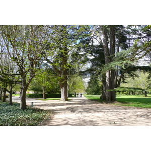 Picture France Chenonceau Castle Gardens of Chenonceau 2008-04 3 - Sightseeing Gardens of Chenonceau