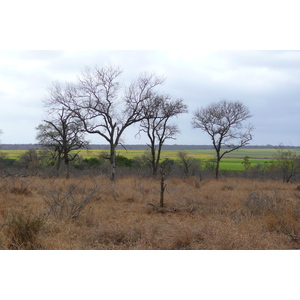 Picture South Africa Kruger National Park Crocodile River road 2008-09 42 - Views Crocodile River road