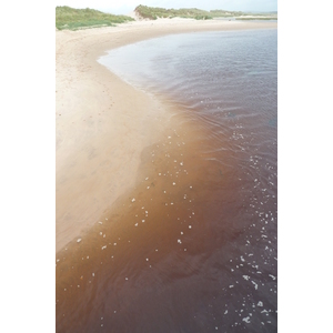 Picture United Kingdom Scotland Lossiemouth 2011-07 19 - Photographer Lossiemouth