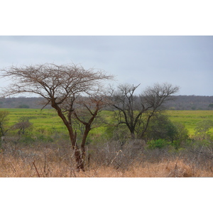 Picture South Africa Kruger National Park Crocodile River road 2008-09 31 - Views Crocodile River road