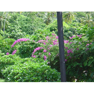 Picture Polynesia Meridien Bora Bora Hotel 2006-04 95 - Picture Meridien Bora Bora Hotel