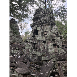 Picture Cambodia Siem Reap Ta Prohm 2023-01 106 - Perspective Ta Prohm