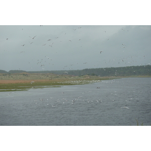 Picture United Kingdom Scotland Lossiemouth 2011-07 12 - Views Lossiemouth