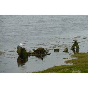 Picture United Kingdom Scotland Lossiemouth 2011-07 13 - Photographers Lossiemouth