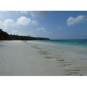 Picture New Caledonia Lifou Luecila 2010-05 21 - Road Luecila