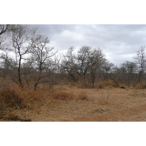 Picture South Africa Kruger National Park Crocodile River road 2008-09 29 - Road Crocodile River road