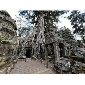 Picture Cambodia Siem Reap Ta Prohm 2023-01 155 - Photographer Ta Prohm