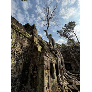 Picture Cambodia Siem Reap Ta Prohm 2023-01 18 - Trips Ta Prohm