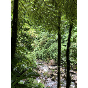 Picture Guadeloupe Carbet Falls 2021-02 44 - Tourist Places Carbet Falls