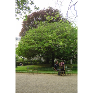 Picture France Paris Luxembourg Garden 2007-04 74 - Road Luxembourg Garden