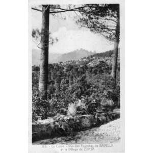 Picture France Corsica Old Postcards 1900-01 255 - Car Old Postcards