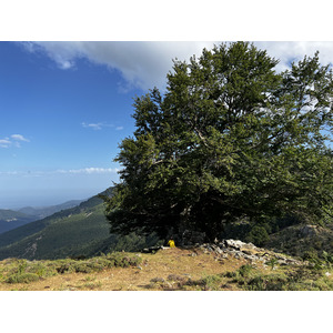 Picture France Corsica Refuge de Callerucciu 2022-06 61 - Photographers Refuge de Callerucciu