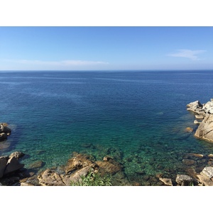 Picture France Corsica Calvi 2015-05 60 - Photographer Calvi