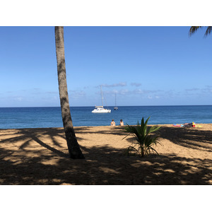 Picture Guadeloupe Grande Hanse Beach 2021-02 6 - Tourist Places Grande Hanse Beach