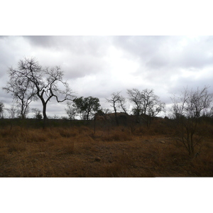 Picture South Africa Kruger National Park Crocodile River road 2008-09 16 - Trip Crocodile River road