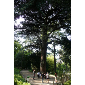 Picture France Paris Jardin des Plantes 2007-08 11 - Flights Jardin des Plantes