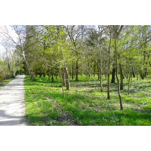 Picture France Chenonceau Castle Gardens of Chenonceau 2008-04 6 - Sightseeing Gardens of Chenonceau