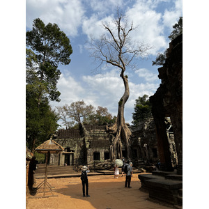 Picture Cambodia Siem Reap Ta Prohm 2023-01 21 - Trip Ta Prohm