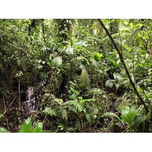 Picture Guadeloupe Carbet Falls 2021-02 17 - Discover Carbet Falls