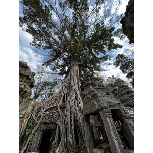 Picture Cambodia Siem Reap Ta Prohm 2023-01 27 - Tourist Attraction Ta Prohm