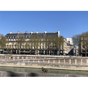 Picture France Paris lockdown 2020-04 295 - Pictures Paris lockdown