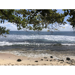 Picture Guadeloupe Saint Francois 2021-02 54 - Travel Saint Francois