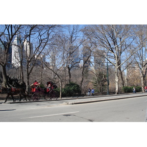 Picture United States New York Central Park 2006-03 53 - Photographers Central Park