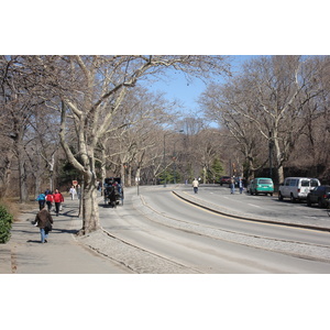 Picture United States New York Central Park 2006-03 9 - Journey Central Park