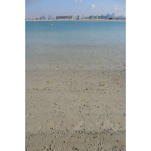 Picture United Arab Emirates Dubai Palm Jumeirah 2009-01 36 - Travels Palm Jumeirah