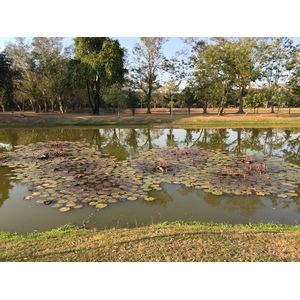 Picture Thailand Sukhothai 2014-12 70 - Trail Sukhothai