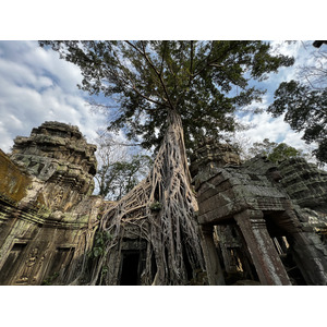 Picture Cambodia Siem Reap Ta Prohm 2023-01 59 - Photographer Ta Prohm