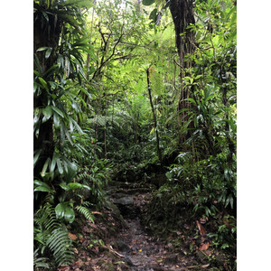 Picture Guadeloupe Carbet Falls 2021-02 5 - Visit Carbet Falls