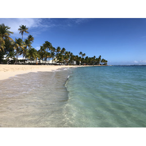 Picture Guadeloupe La Caravelle Beach 2021-02 147 - Sight La Caravelle Beach