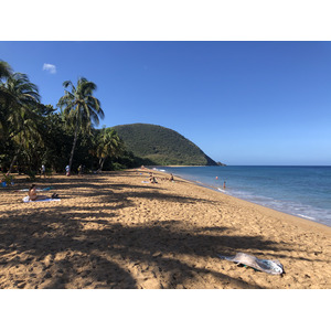 Picture Guadeloupe Grande Hanse Beach 2021-02 4 - Views Grande Hanse Beach