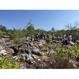 Picture Thailand Phu Hin Rong Kla National Park 2014-12 330 - Trail Phu Hin Rong Kla National Park