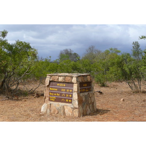 Picture South Africa Kruger National Park Crocodile River road 2008-09 51 - Pictures Crocodile River road