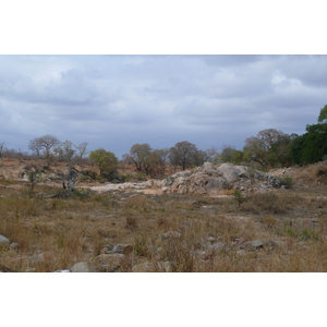 Picture South Africa Kruger National Park Crocodile River road 2008-09 64 - Visit Crocodile River road