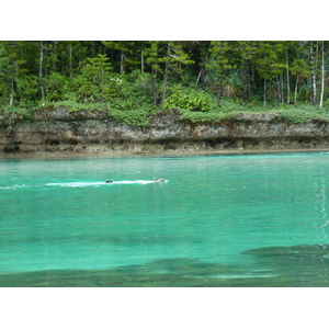 Picture New Caledonia Ile des pins Oro Bay 2010-05 79 - Sightseeing Oro Bay