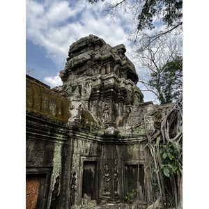 Picture Cambodia Siem Reap Ta Prohm 2023-01 60 - Tourist Ta Prohm