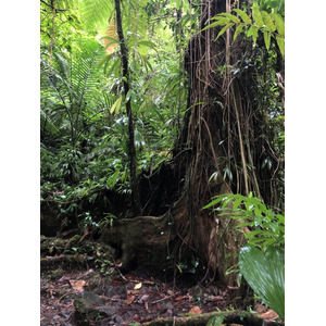 Picture Guadeloupe Carbet Falls 2021-02 11 - Road Map Carbet Falls