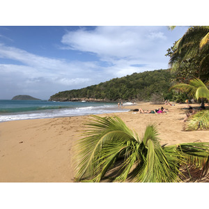 Picture Guadeloupe La Perle Beach 2021-02 42 - Views La Perle Beach